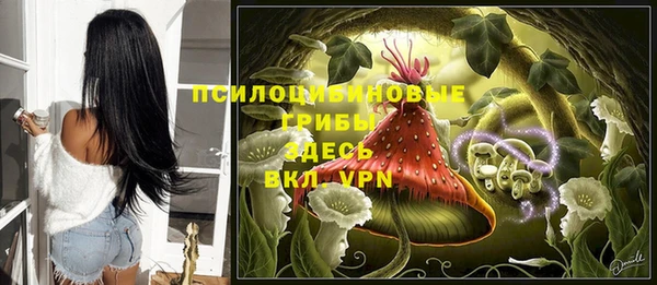 марихуана Абаза