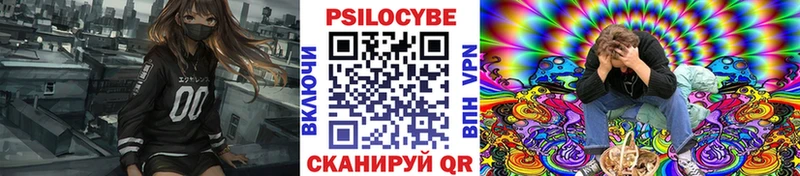 как найти   Нефтеюганск  Псилоцибиновые грибы Psilocybine cubensis 